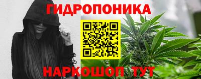 гидра Бузулук
