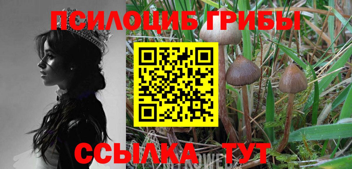 Галлюциногенные грибы мухоморы  Вход с VPN  Майский 